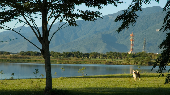 guan san 018